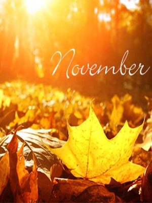 November